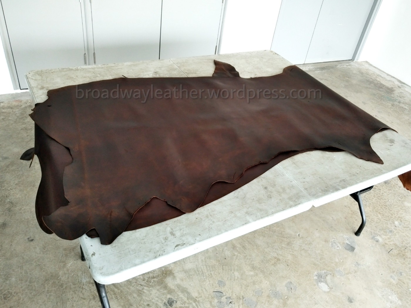 buy leather hide singapore